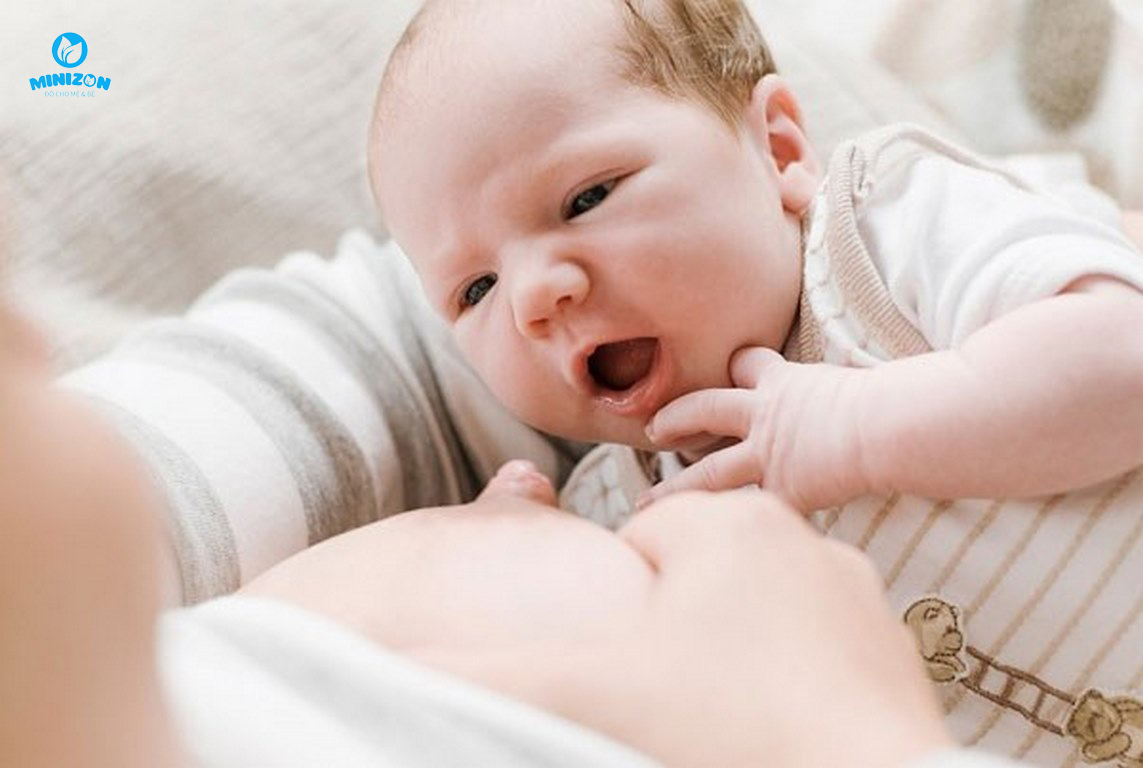 dấu hiệu nhận biết con bắt núm vú sai dấu hiệu nhận biết con bắt núm vú sai