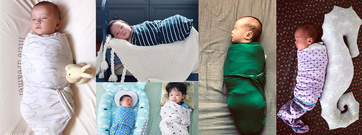 quan-chun-cocoon quan-chun-cocoon
