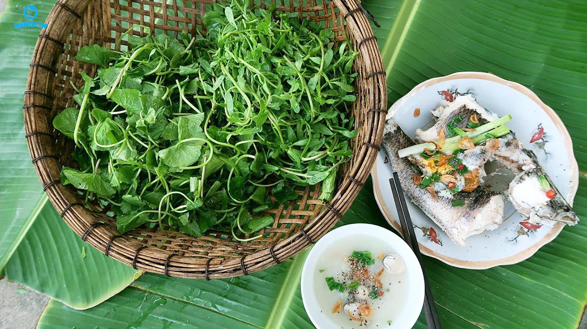 Bổ sung thêm rau đắng vào thực đơn Bổ sung thêm rau đắng vào thực đơn