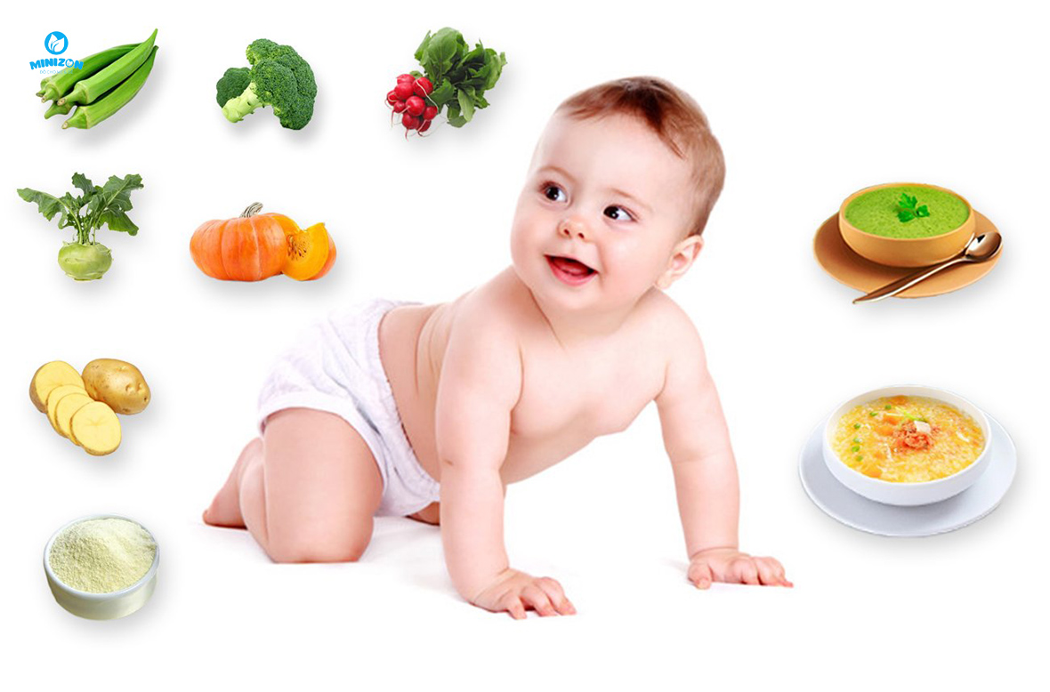 Cho con ăn có giờ giấc Cho con ăn có giờ giấc