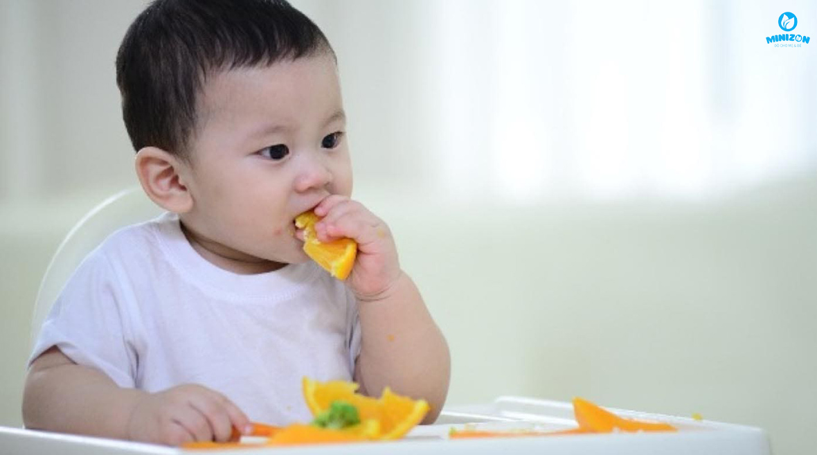 Khi nào có thể áp dụng ăn dặm tự chỉ huy cho bé? Khi nào có thể áp dụng ăn dặm tự chỉ huy cho bé?