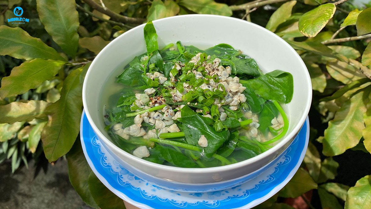 Rau mồng tơi Rau mồng tơi