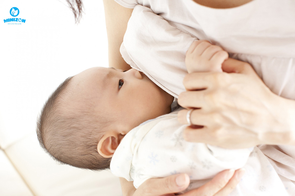 Tắc tia sữa là gì Tắc tia sữa là gì