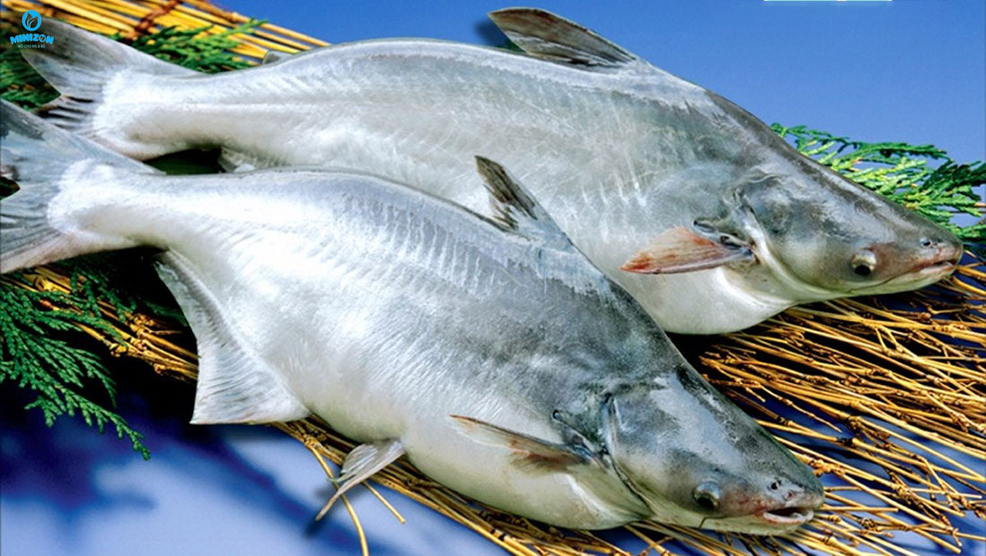 Cá béo giúp trẻ thông minh Cá béo giúp trẻ thông minh
