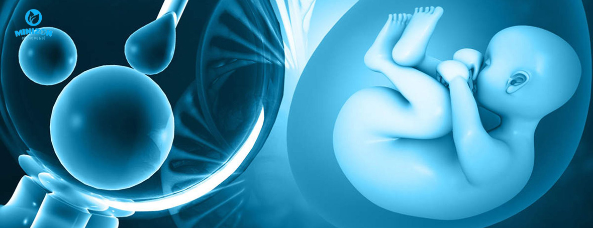 Chi phí nuôi cấy phôi và chuyển phôi: từ 5 triệu đến vài chục triệu Chi phí nuôi cấy phôi và chuyển phôi: từ 5 triệu đến vài chục triệu