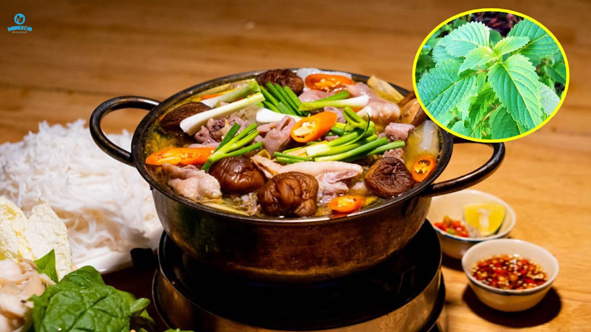Nên ăn nhiều rau và các loại thịt phải được nhúng chín Nên ăn nhiều rau và các loại thịt phải được nhúng chín