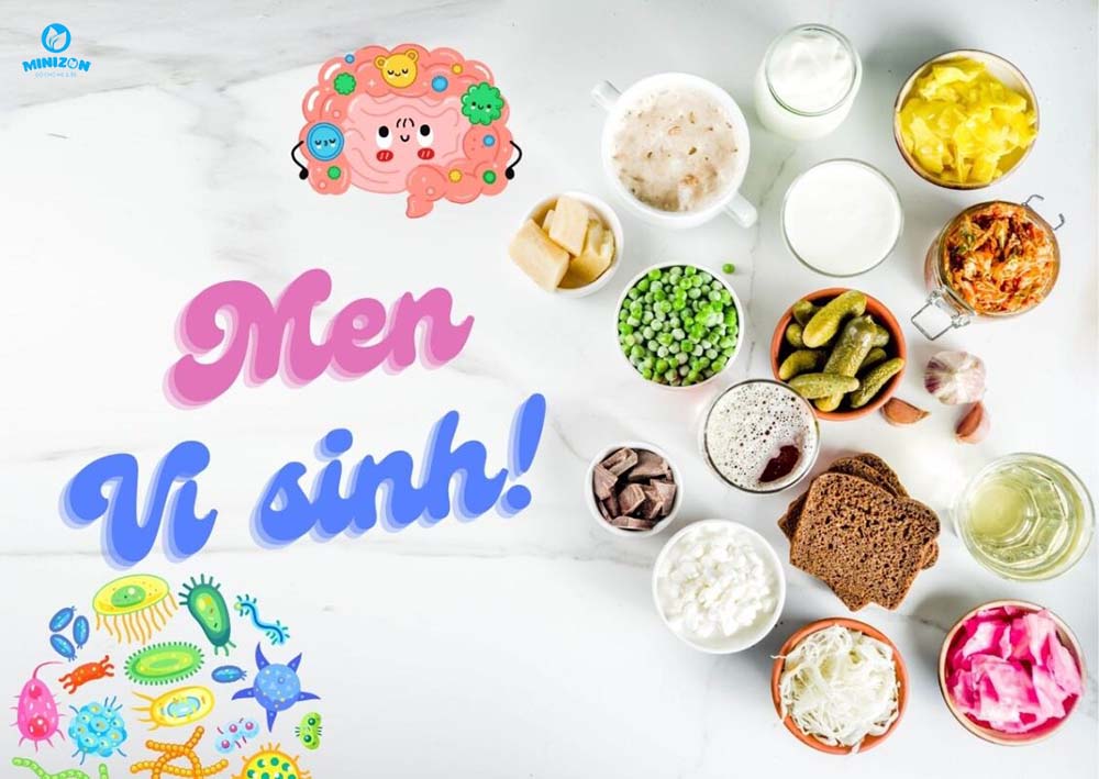 Men vi sinh là gì? Men vi sinh là gì?