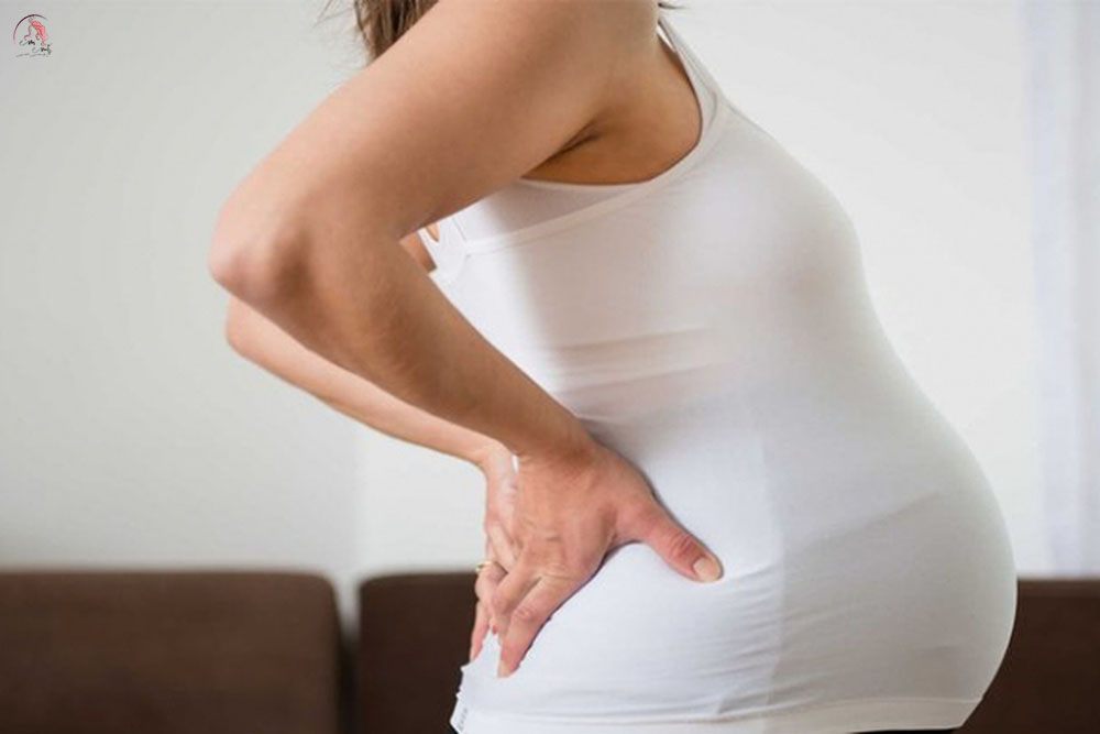 Ứng dụng cho mẹ bầu Hello Belly Ứng dụng cho mẹ bầu Hello Belly