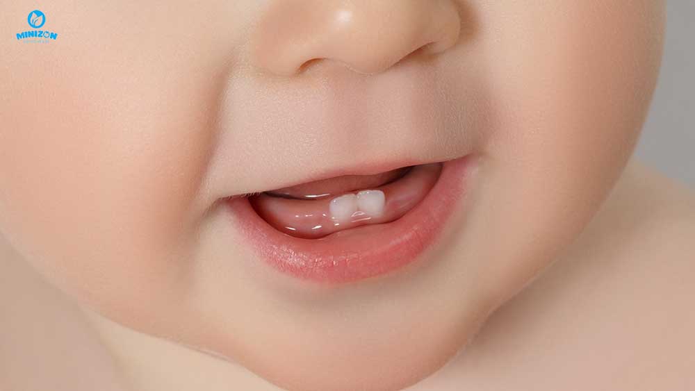 Khi bé đã mọc răng Khi bé đã mọc răng