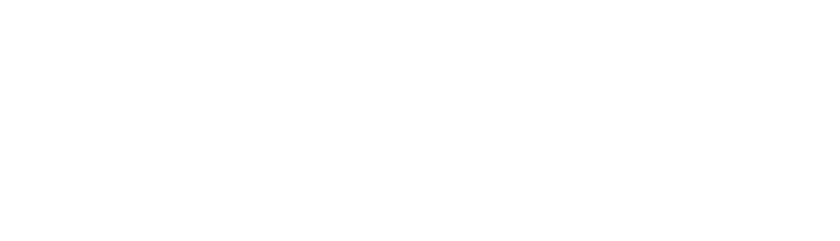 Minizon